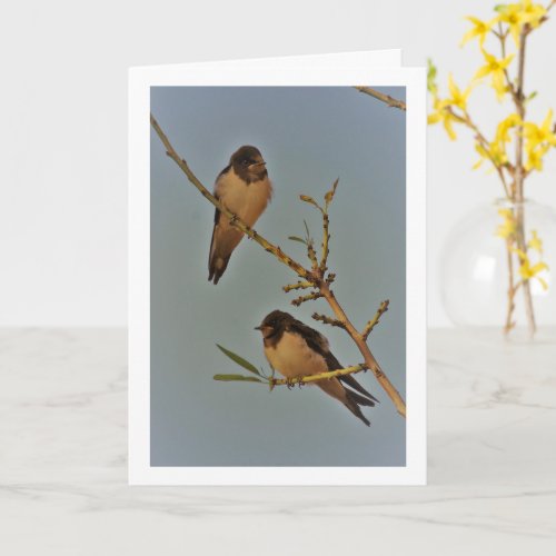 Vintage Style Swallow Birds Portrait Card