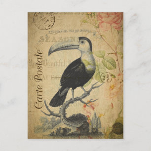 Vintage Style Toucan French Carte Postale Postcard