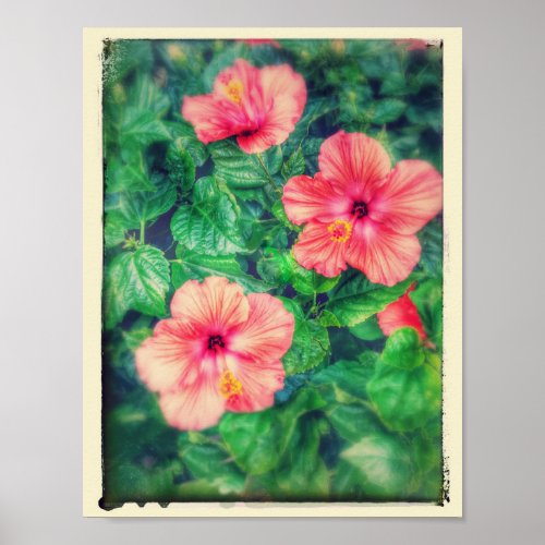 Vintage Style Tropical Hibiscus Flowers Poster