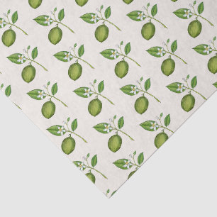 Vintage style watercolor Limes on ecru  Tissue Paper