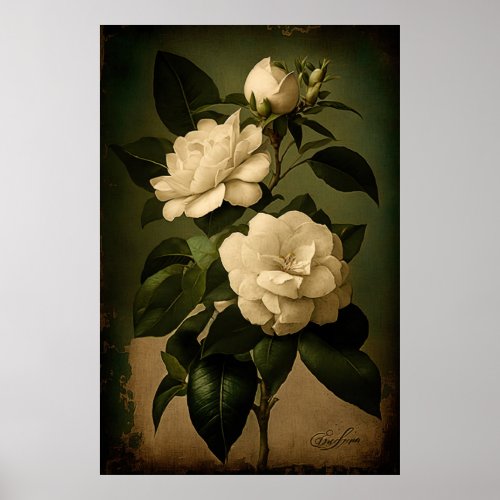 Vintage Style White Gardenia Art _ Downloadable  Poster