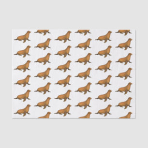 Vintage Stylized Brown Seal Sea Lion Tissue Paper