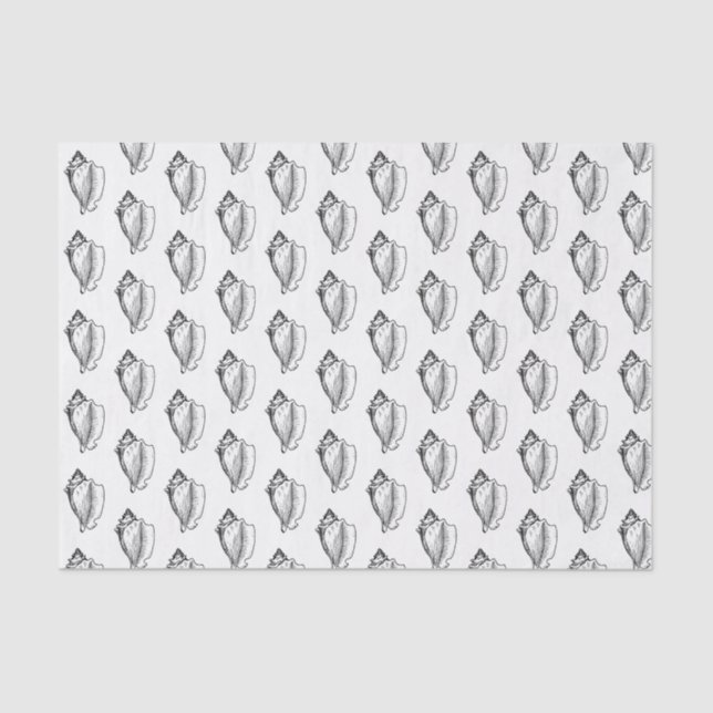 Vintage Stylized Conch Shell Black Tissue Paper (Front)