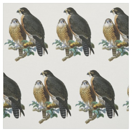 Vintage Stylized Falcons on a Branch Fabric