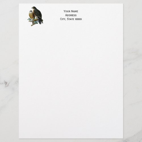 Vintage Stylized Falcons on a Branch Letterhead