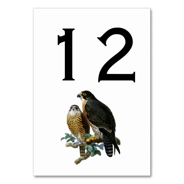 Vintage Stylized Falcons on Branch Table Number (Front)