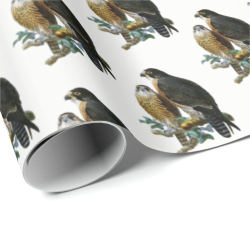 Vintage Stylized Falcons on Branch Wrapping Paper