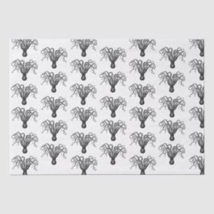 Vintage Stylized Octopus Drawing #8 Black Tissue Paper