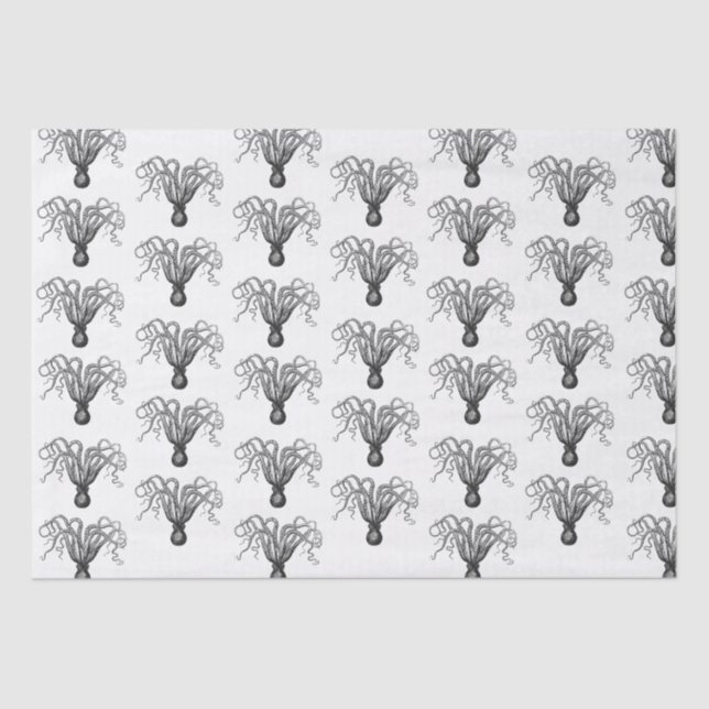 Vintage Stylized Octopus Drawing #8 Black Tissue Paper (Front)