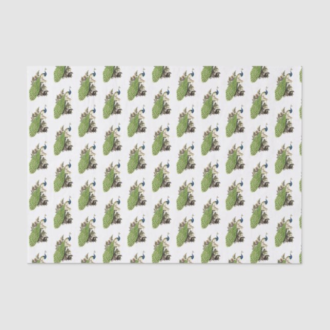 Vintage Stylized Peacock on a Branch Tissue Paper (Front)