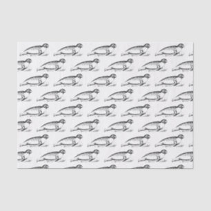 Vintage Stylized Spotted Seal Sea Lion Tissue Paper
