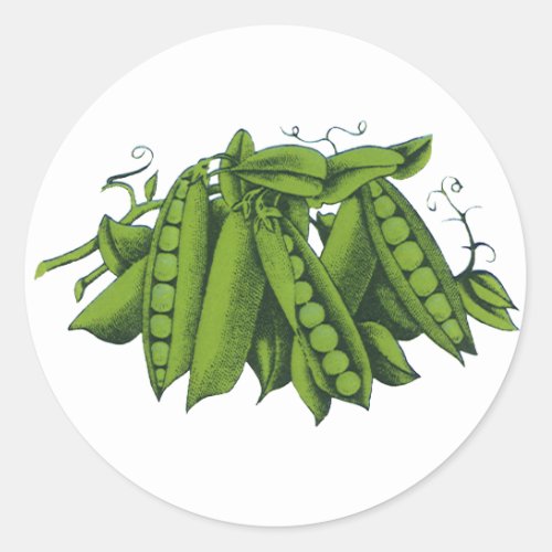 Vintage Sugar Snap Peas Foods Healthy Vegetables Classic Round Sticker