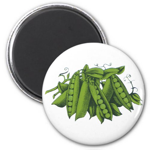 Vintage Sugar Snap Peas Foods Healthy Vegetables Magnet