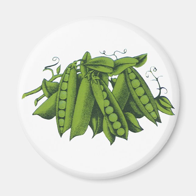 Vintage Sugar Snap Peas, Foods, Healthy Vegetables Magnet (Front)