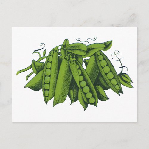 Vintage Sugar Snap Peas Foods Healthy Vegetables Postcard