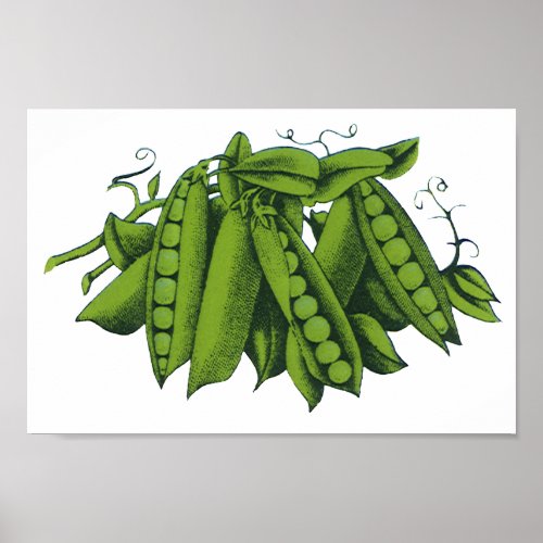 Vintage Sugar Snap Peas Foods Healthy Vegetables Poster