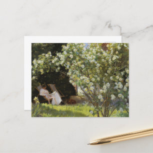 Vintage Summer Painting White Roses Reading Woman Postcard