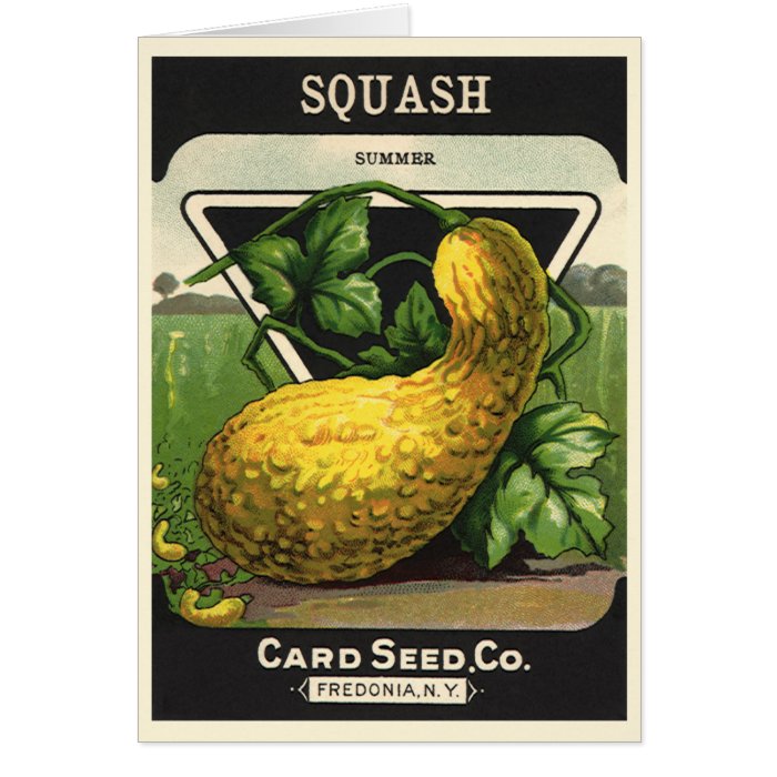 Vintage Summer Squash Seed Packet Label Art Greeting Cards