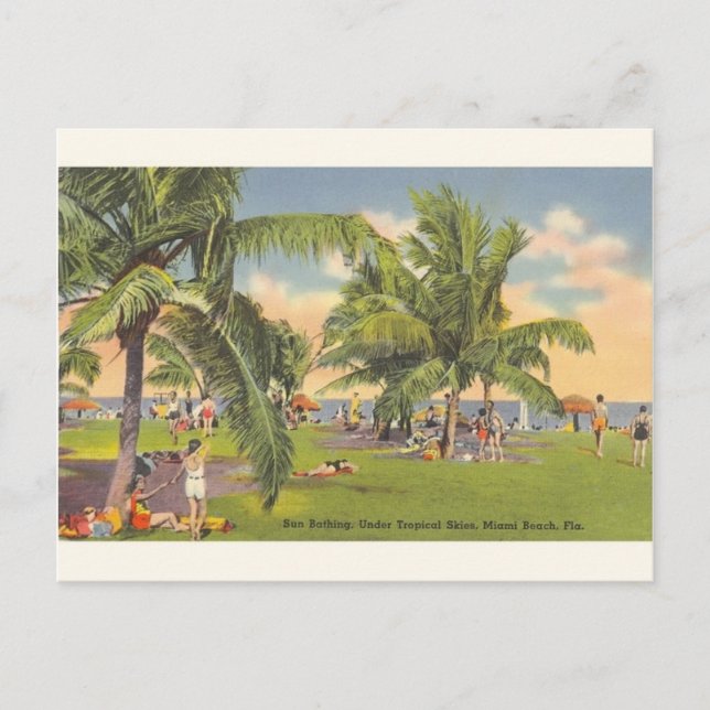 Vintage Sun Bathing Miami Beach Florida Postcard (Front)