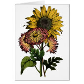 Vintage Sunflower - Blank Card (Front)