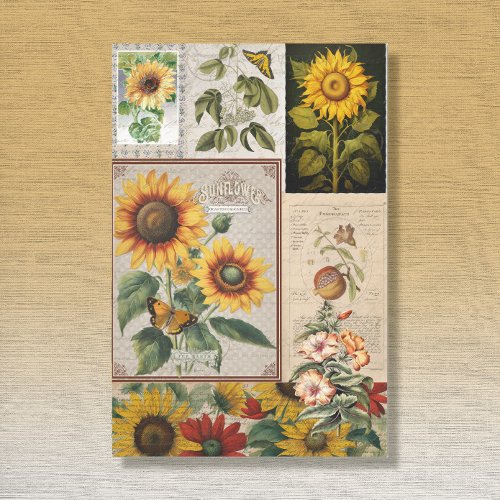 Vintage Sunflower Butterfly Seed Packet Ephemera   Tissue Paper