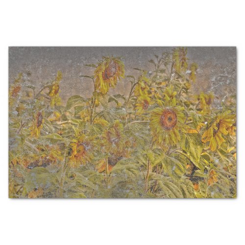 Vintage Sunflower Field Bright Yellow Distressed Tissue Paper