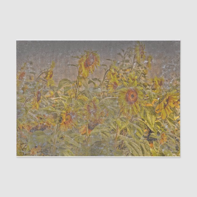 Vintage Sunflower Field Bright Yellow Distressed Tissue Paper (Front)