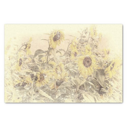 Vintage Sunflower Field Yellow Distressed Texture Tissue Paper
