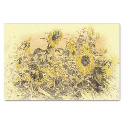 Vintage Sunflower Field Yellow Distressed Vignette Tissue Paper