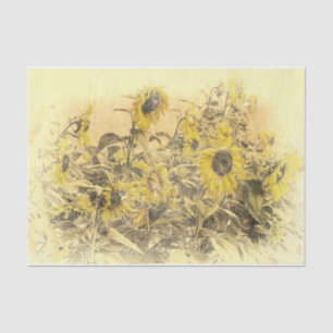 Vintage Sunflower Field Yellow Distressed Vignette Tissue Paper