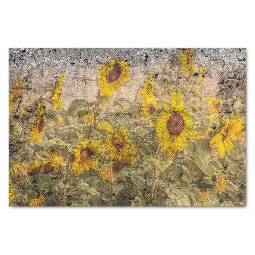 Vintage Sunflower Field Yellow Grunge Texture Tissue Paper