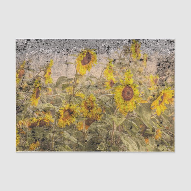 Vintage Sunflower Field Yellow Grunge Texture Tissue Paper (Front)