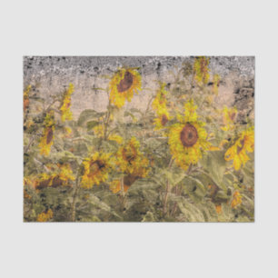 Vintage Sunflower Field Yellow Grunge Texture Tissue Paper