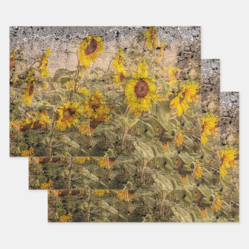 Vintage Sunflower Field Yellow Grunge Texture Wrapping Paper Sheets