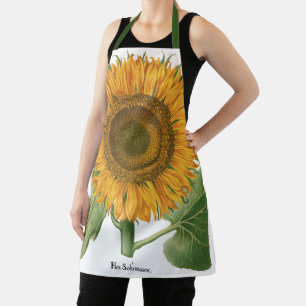 Vintage Sunflower Flower by Basilius Besler Apron