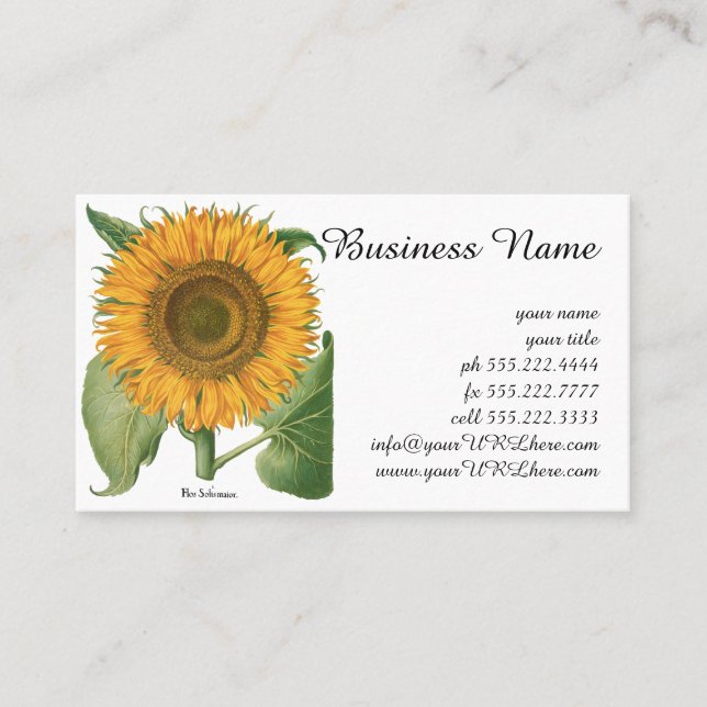 Vintage Sunflower Flower by Basilius Besler Business Card (Front)