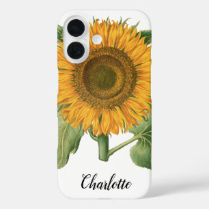 Vintage Sunflower Flower by Basilius Besler iPhone 16 Case