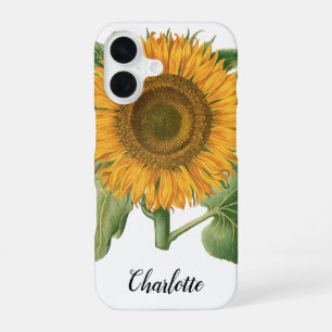 Vintage Sunflower Flower by Basilius Besler iPhone 16 Case