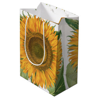 Vintage Sunflower Flower by Basilius Besler Medium Gift Bag
