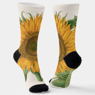 Vintage Sunflower Flower by Basilius Besler Socks