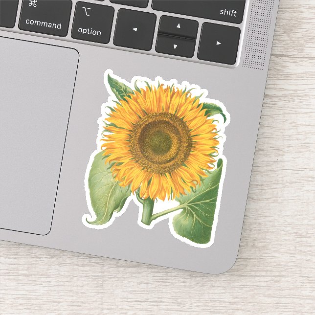 Vintage Sunflower Flower by Basilius Besler Sticker (Detail)