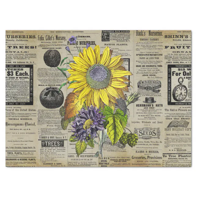 Vintage Sunflower Horticulture Ads Ephemera Tissue Paper | Zazzle