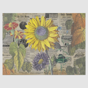 Vintage Sunflower Horticulture Ads Ephemera Tissue Paper