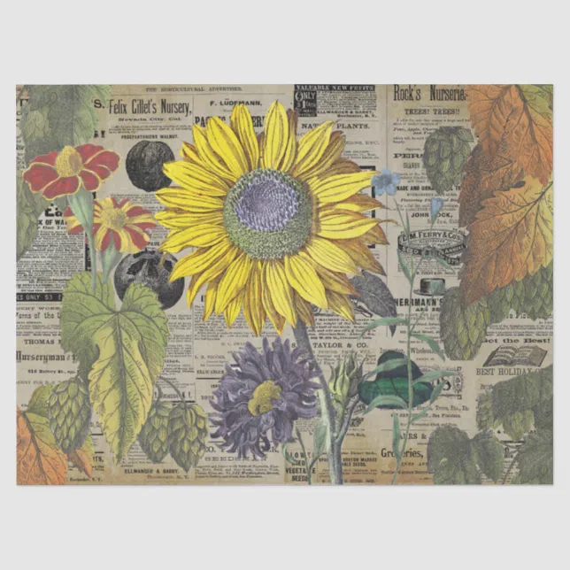 Vintage Sunflower Horticulture Ads Ephemera Tissue Paper | Zazzle