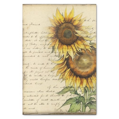 Vintage Sunflower II Tissue Paper