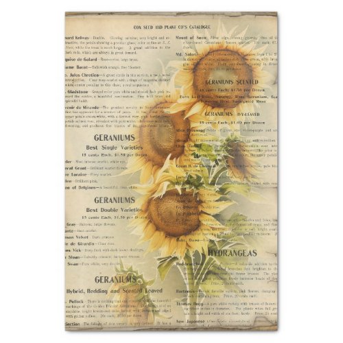 Vintage Sunflower IV Tissue Paper