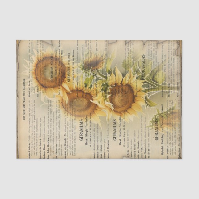 Vintage Sunflower IV Tissue Paper (Front)