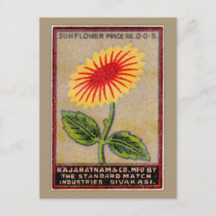 Vintage Sunflower Match Label Postcard