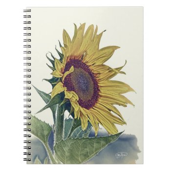 Vintage Sunflower Original Shabby Old School Look Notebook by Sturgils at Zazzle
