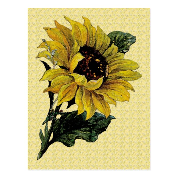 Vintage Sunflower Postcards